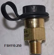 FSH Series Hydrostatic Relief Valve